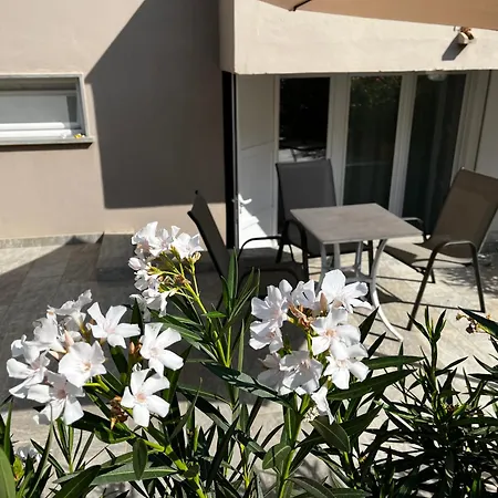 Casa Sotto Castello Mommio